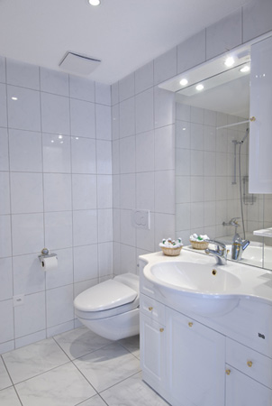 Enlarged View of the bathroom
