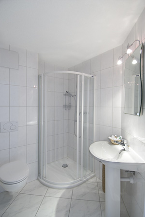 Large view of the shower