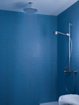 The shower room