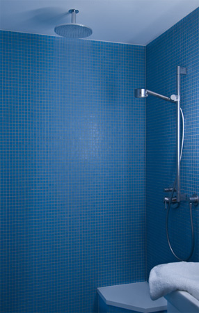 Large view of shower room