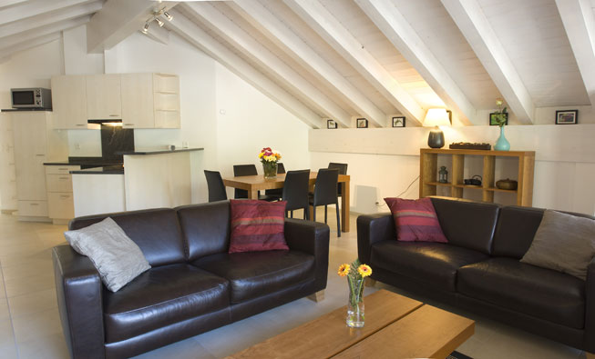Large view of the Living Room and Kitchen