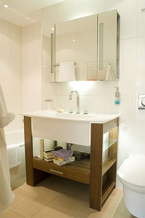 large view of the bathroom
