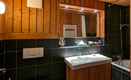 Zermatt Apartment Rentals :: Orgon2 of the Matterhorn