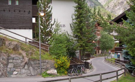 Vitalis external view