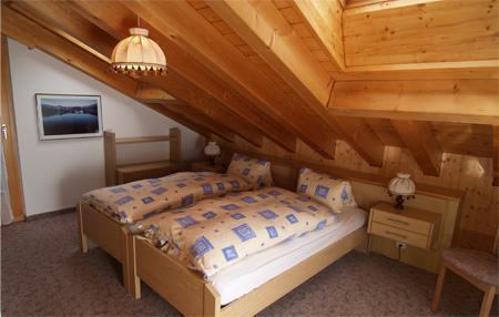 large view of a twin room